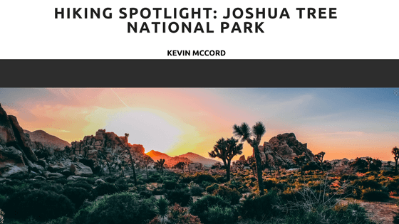 Hiking Spotlight: Joshua Tree